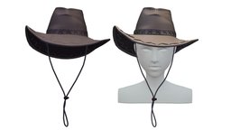 Cartoon High Poly Subdivision Cowboy Hat