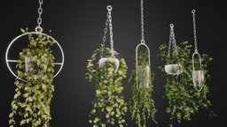 Hanging Pots with Plants/Vines