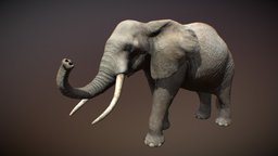 Animalia elephant, quadruped, gim, animalia, animal, animated