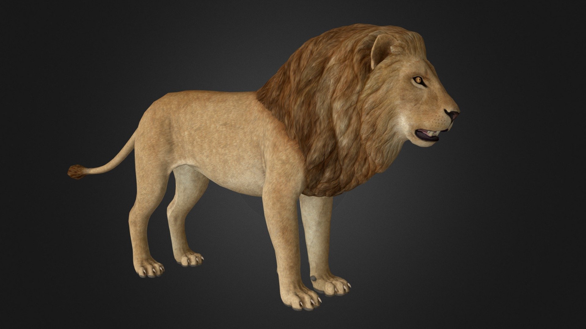 Game-ready model of lion with PBR textures 3d model
