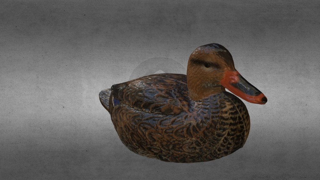 Scanned with a Creaform Go!Scan 20 and processed and decimated in VxModel - DUCK 01 - Download Free 3D model by bobbymcgoo 3d model