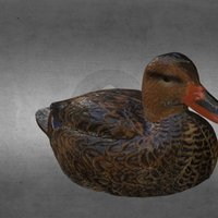 DUCK 01 hunting, duck, creaform, goscan