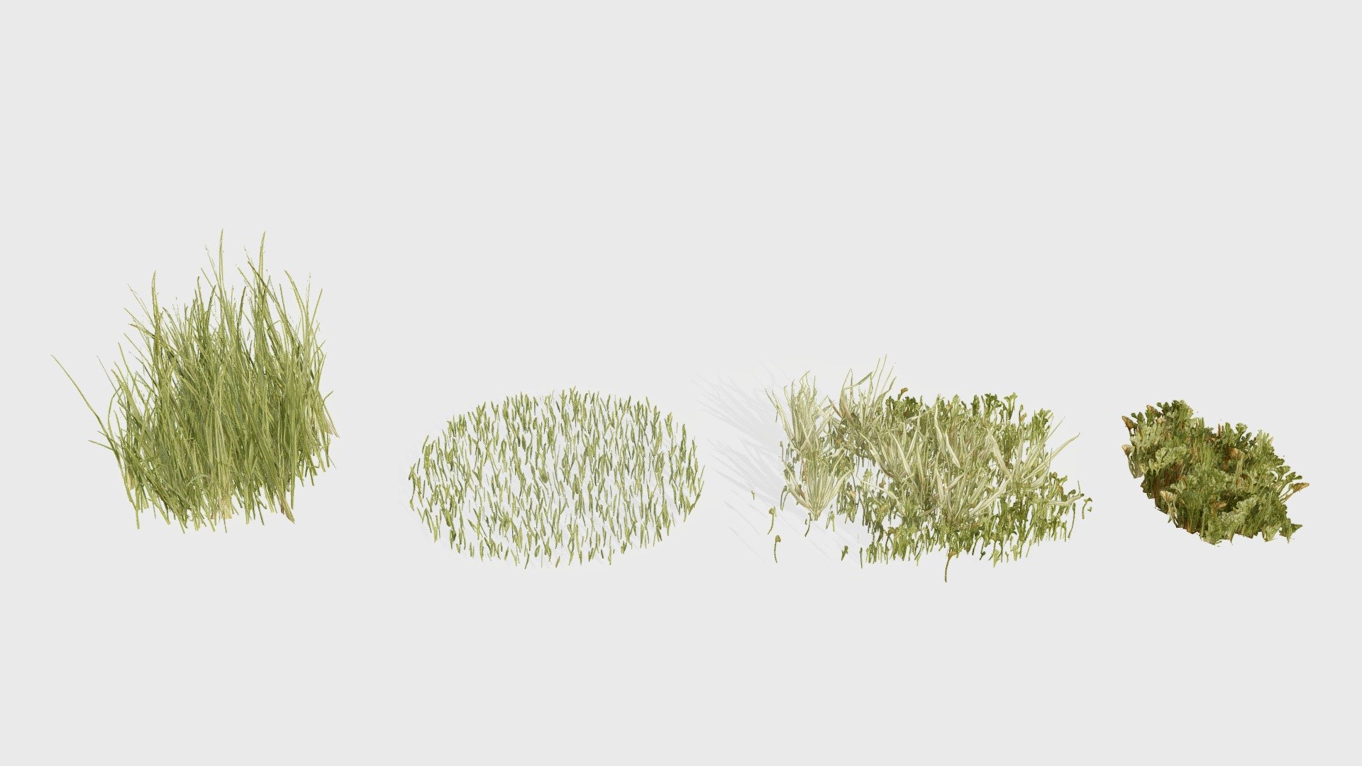 Check out my website for more products and better deals! &amp;gt;&amp;gt; SM5 by Heledahn &amp;lt;&amp;lt;


This is a digital 3d model of a grass pack, consisting of four grass patches: Bear Grass, Short Grass, Poppy Grass, and Long Grass &amp; Poppy.

The grass is made out of mesh cards with a transparency shader. Perfect for real-time renders.

This product will achieve realistic results in your rendering projects, being greatly suited for close-ups due to their high quality topology and PBR shading 3d model