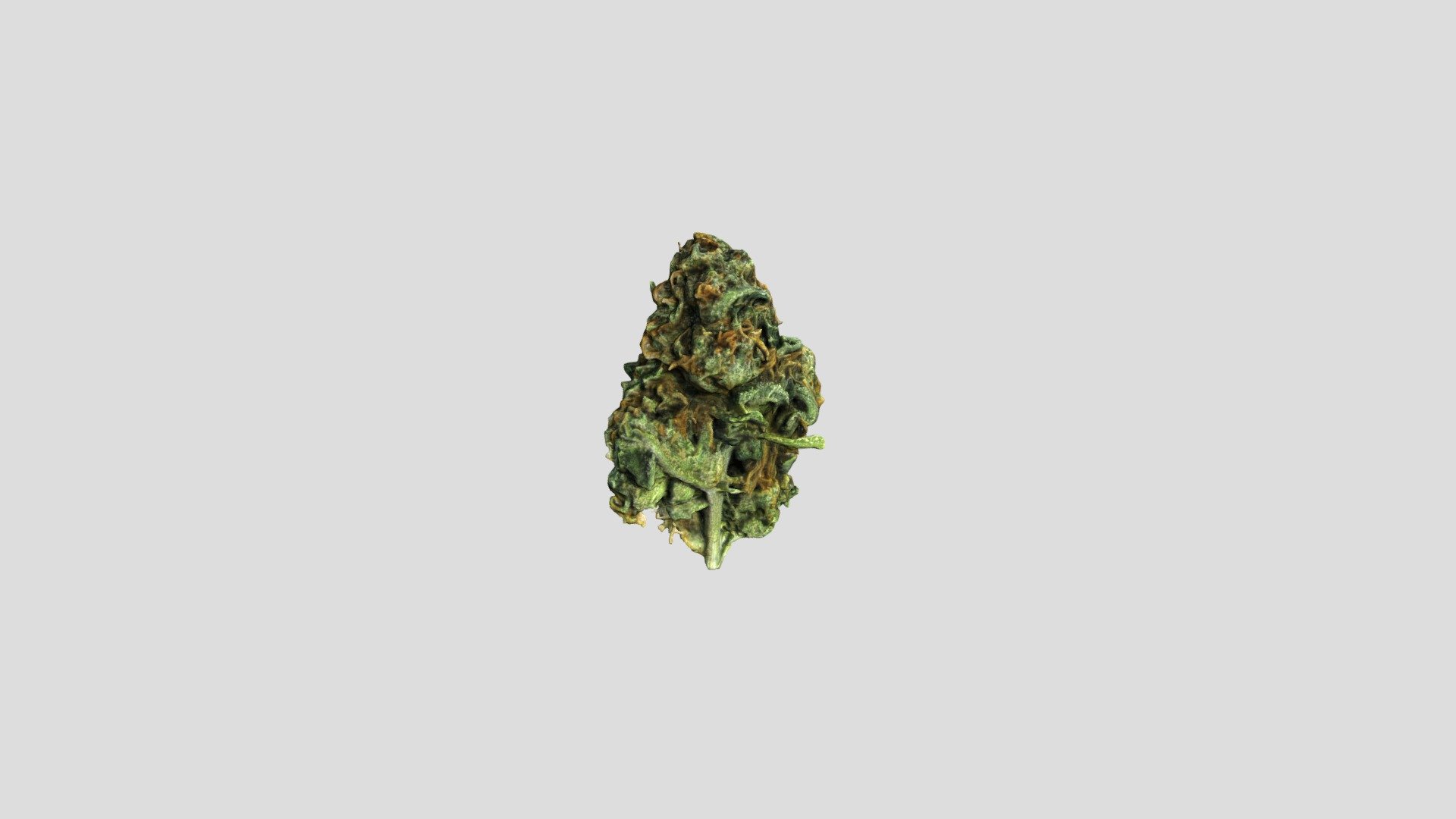 Cannabis bud photogrammetry scan.

Included - Original .OBJ (768,258 tris) with 8k materal
                   Low poly .OBJ (149,999 tris) with 4k and 8k materials - Cannabis Bud 2 - Buy Royalty Free 3D model by defnotdan 3d model