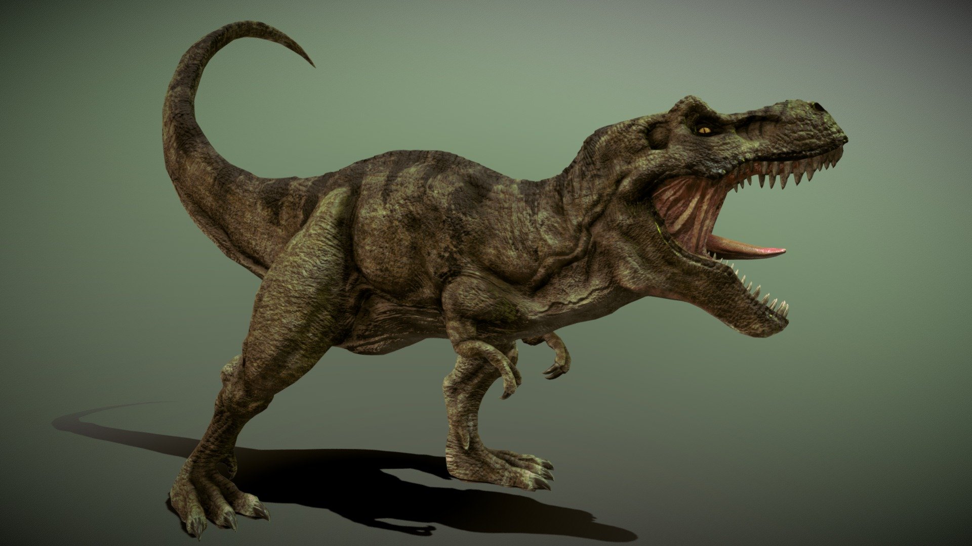 The trex model was made in blender 2.9 and painted in substance painter , when subdivided the model have 85000 verts and when not is 14344 ,it comes with a game intended fbx of 3 LODS,LOD0=14344,LOD1=7772,LOD2=4012,and LOD3=1223

it comes with 4k,2k,1k textures for the trex body and for the OthersTxtures, it comes with Diffuse,Normal,Roughness,AmbientOclussion,and Emissive (just for the Eyes) Maps.

The blend file comes with a multiresolution modifier for the trex of 3 subdivisions,and with a Control Rig ,i also used a addon called Wiggle Bones for the bones in the neck,tail and leg,is used to make that effect of physics to the bones, they are not that really necessary if you want to animate and you can also delete them if you dont want to use the addon, i still did a tutorial on how to use addon,and a guide on how to use the rig,also a timelapse of the walk1anim so i can give you tips on how to use the rig, heres the link https://www.youtube.com/watch?v=eId0Y_r3XvQ  ,anyways thats it ,hope you like it! - Tyrannosaurus Rex - Buy Royalty Free 3D model by GoldenZtuff (@dhjwdwd) 3d model