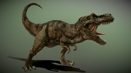 Tyrannosaurus Rex beast, trex, wild, mammal, predator, rex, fossil, nature, reptile, jurassic, extinct, carnivore, tyrannosaurus, blender, creature, animal, animated, prehistoric, rigged, dinosaur