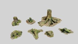 Tree Stump Collection Forest Dead Scan tree, landscape, forest, mold, dead, collection, ready, nature, moss, stump, mossy, sawed, photoscan, lowpoly, scan, leaves