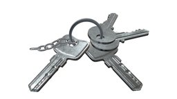 Key set model cylinder, key, lock, furniture, metal, hardware, locking, pz, house, ring, door