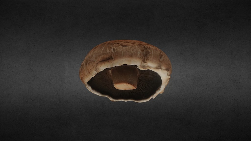 Created in PhotoScan using Nikon D90 and 35mm prime lens. Mushroom placed on a turntable in a light tent illuminated from above. Images taken at about 45 degrees in 2 passes of around 40 images per pass.






 - Portobello Mushroom scan - 3D model by epipolar (@jameswhite) 3d model