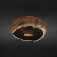 Portobello Mushroom scan food, mushroom, vegetable, 3dscanfruitveg, agisoft, photoscan, photogrammetry