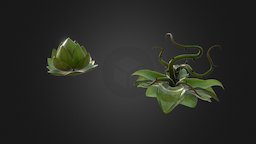 Roots plants, fighting, sprites, nature, roots, unity2d