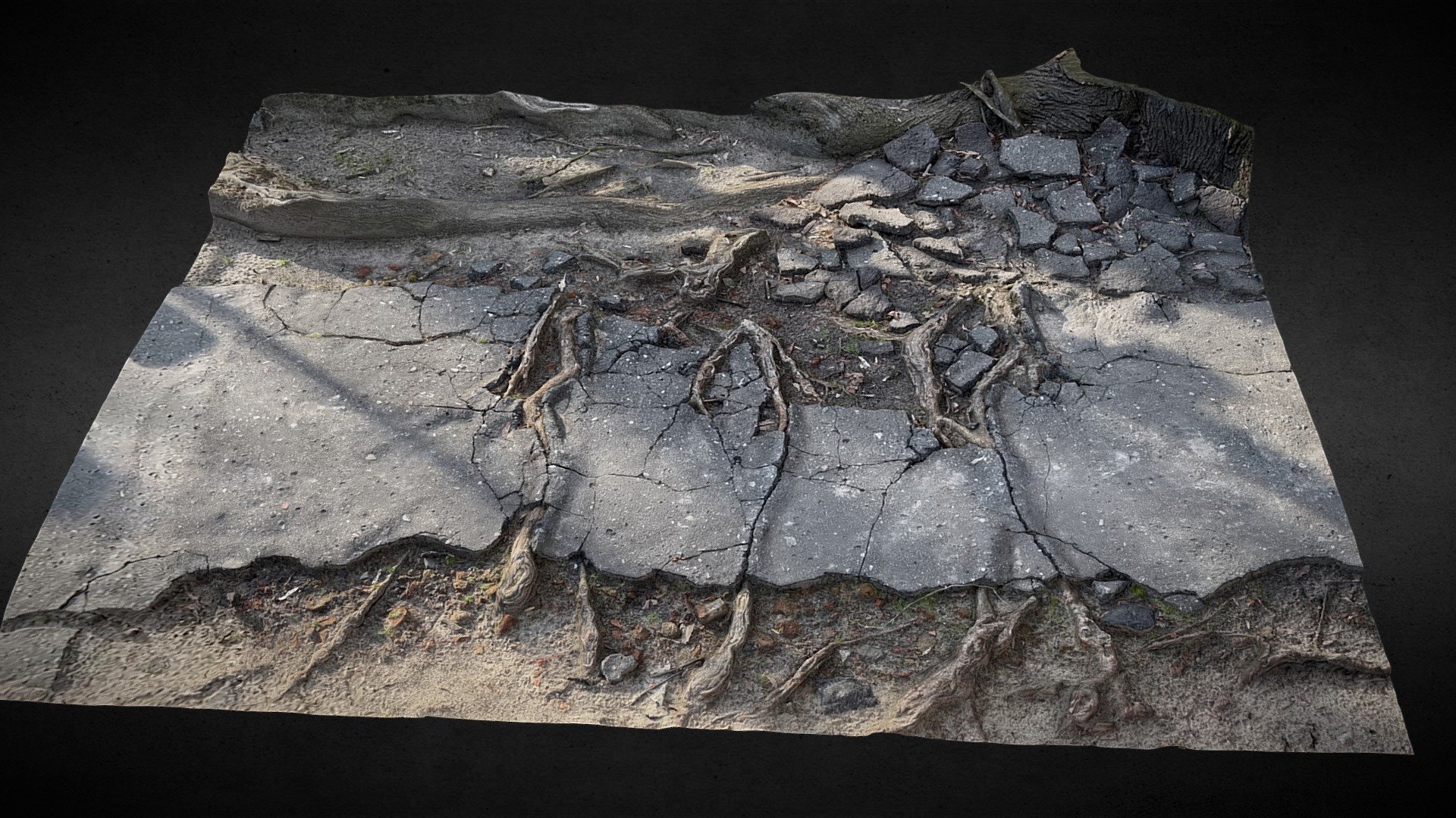 made on canon mkII lens 35mm
maps 8k: diffuse
maps 4k: roughness, nrm, bump, ao
cleaned geometry, no retopology - tree roots road asphalt photogrammetry - Buy Royalty Free 3D model by scanforge (@looppy) 3d model