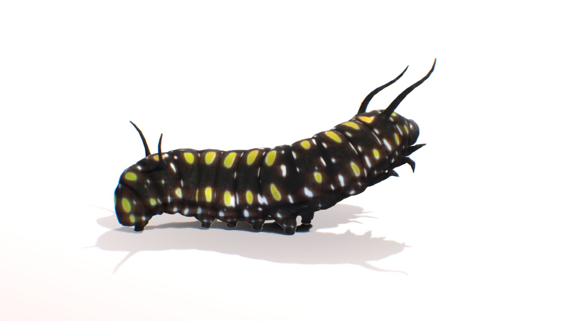 Click here to buy Monarch Butterfly Caterpillar - Dark Blue Tiger Butterfly Caterpillar - 3D model by NestaEric 3d model