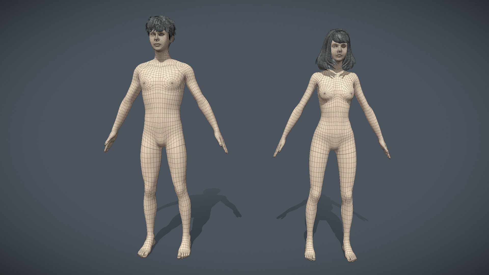 Hello everyone, I would like to introduce to you the base mesh set for both male and female Asian characters. Researched to compare proportions to suit Asians. Suitable for film and game projects.


Package priority:
1. Anatomy suitable for Asians
2. Optimize polygon ready for rigging stage
3. UV available, hair is UV combed in plan alpha mesh form

Package description included:



2 file FBX 





&ldquo;BaseMesh_AsiaMan