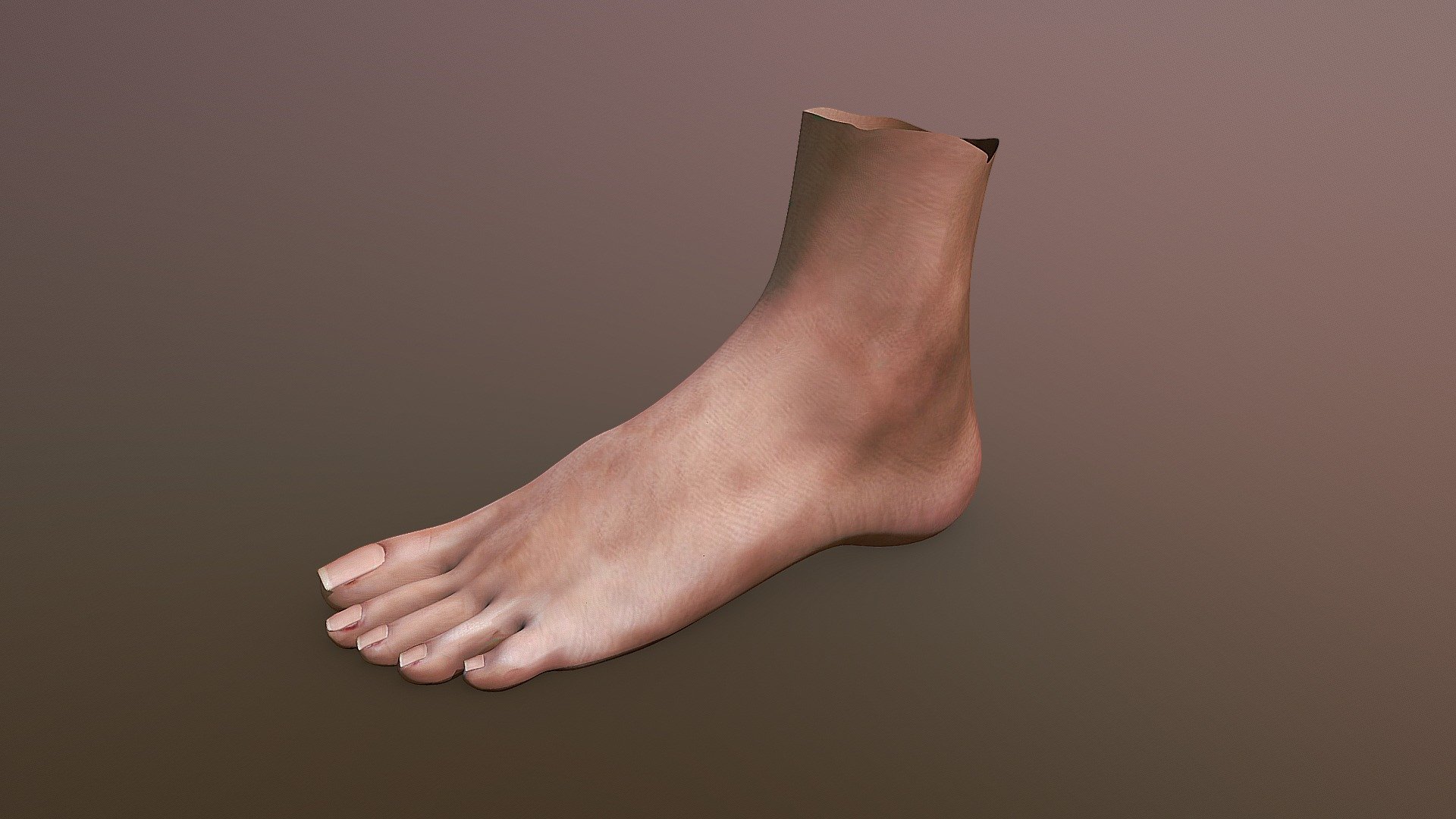 Foot v2 - Download Free 3D model by Sept (@12342423534) 3d model