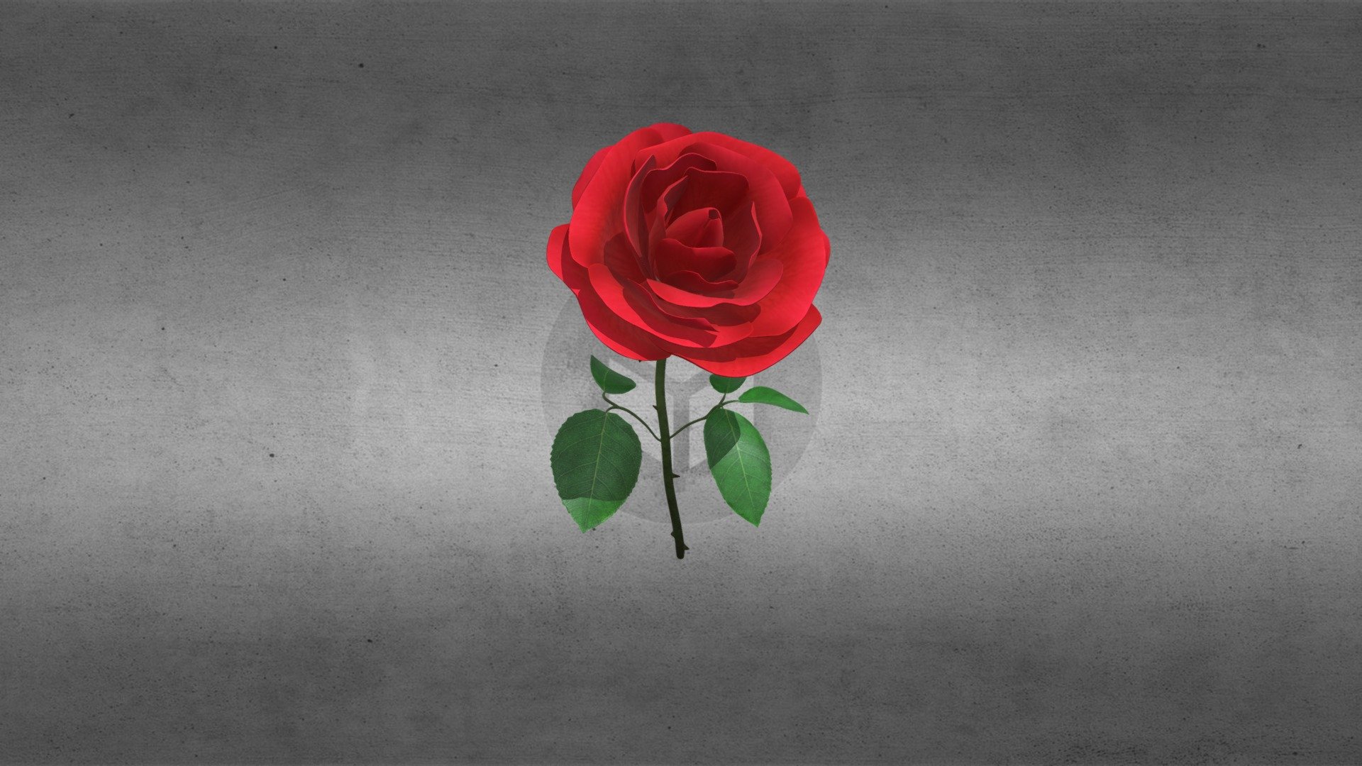 A rose is a woody perennial flowering plant of the genus Rosa, in the family Rosaceae, or the flower it bears. 

Click Hear To Download https://skfb.ly/6YyrA - Rose - 3D model by fakepad 3d model