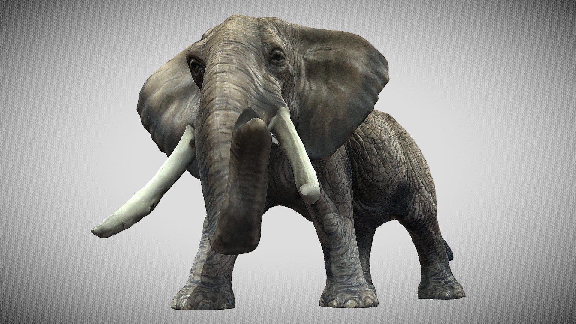 Big Elephant - Big Elephant - Buy Royalty Free 3D model by DAVANO 3d model