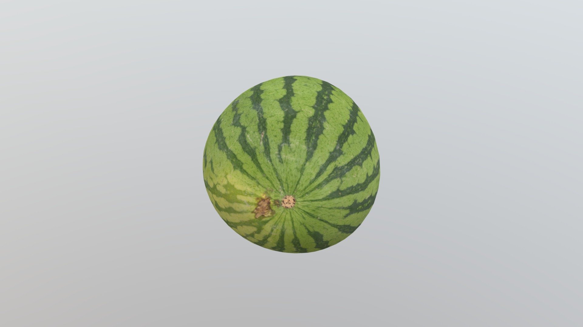 About the product:-

Watermelon 3D Model AR VR PBR Low-poly 3D model with game ready.

Model placed in 0,0,0 axes.

Game ready, Real time apps, Virtual Reality VR, Metaverse,  Augmented Reality AR. Decent poly count

Single mesh Poly Counts:

Verts : 946 Edge : 1888 Polygons : 944 Tris : 1888 Uv's : 998

Renders:-

Do the renders in Marmoset with studio HDRI.

Technical info:-

Model is real-world scale. UVs non overlapped, Units used: centimeters.

Texturing:

I am using a PBR textures.(diffuse, normal and specularMap) - Watermelon 3D Model AR VR PBR - 3D model by multicrowstudio 3d model