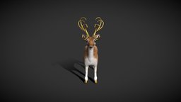 Deer 01 Anim 3 1 