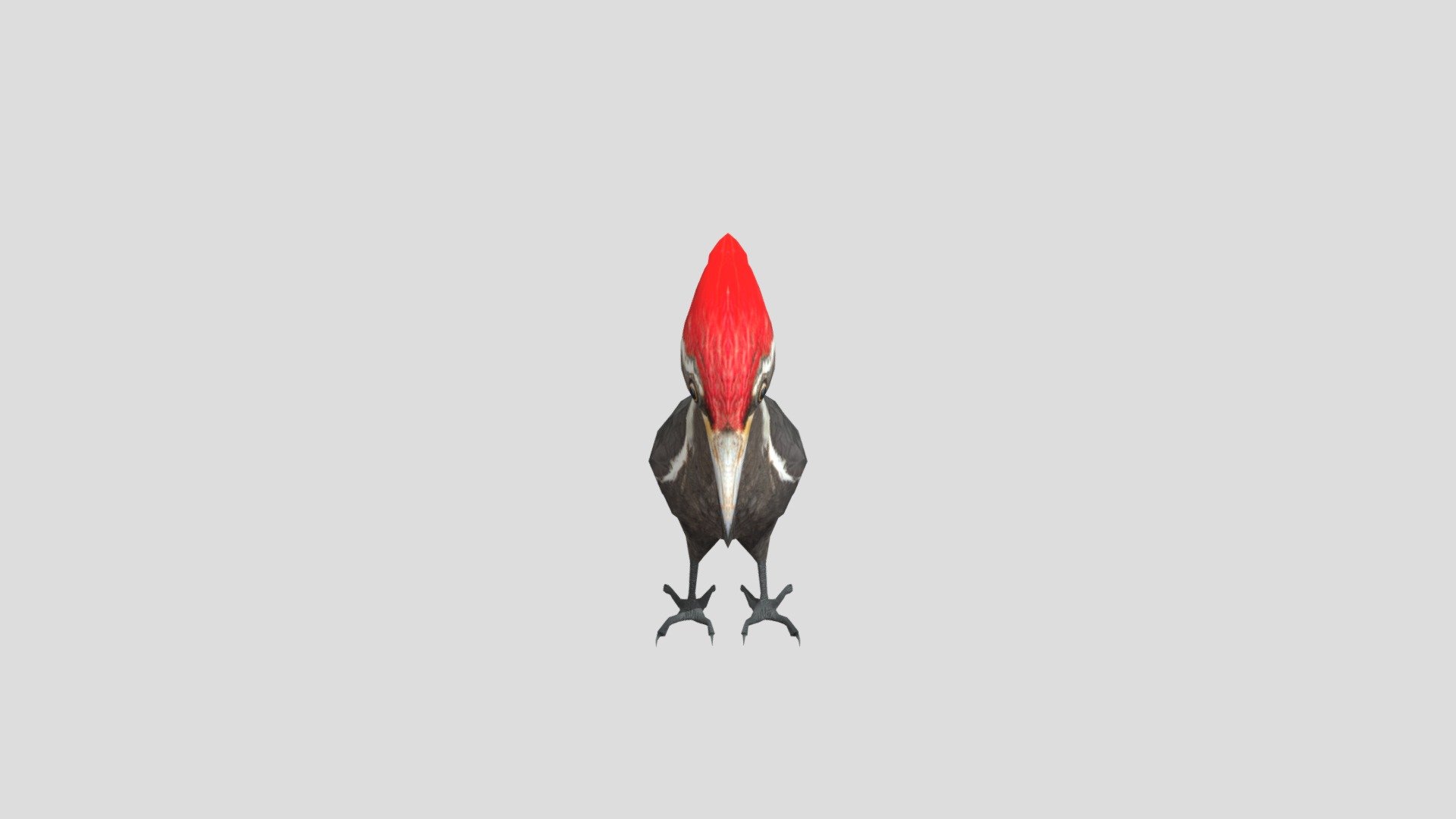 Pileated Woodpecker - 3D model by SAVIA_Colombia (@Minambiente_Col) 3d model