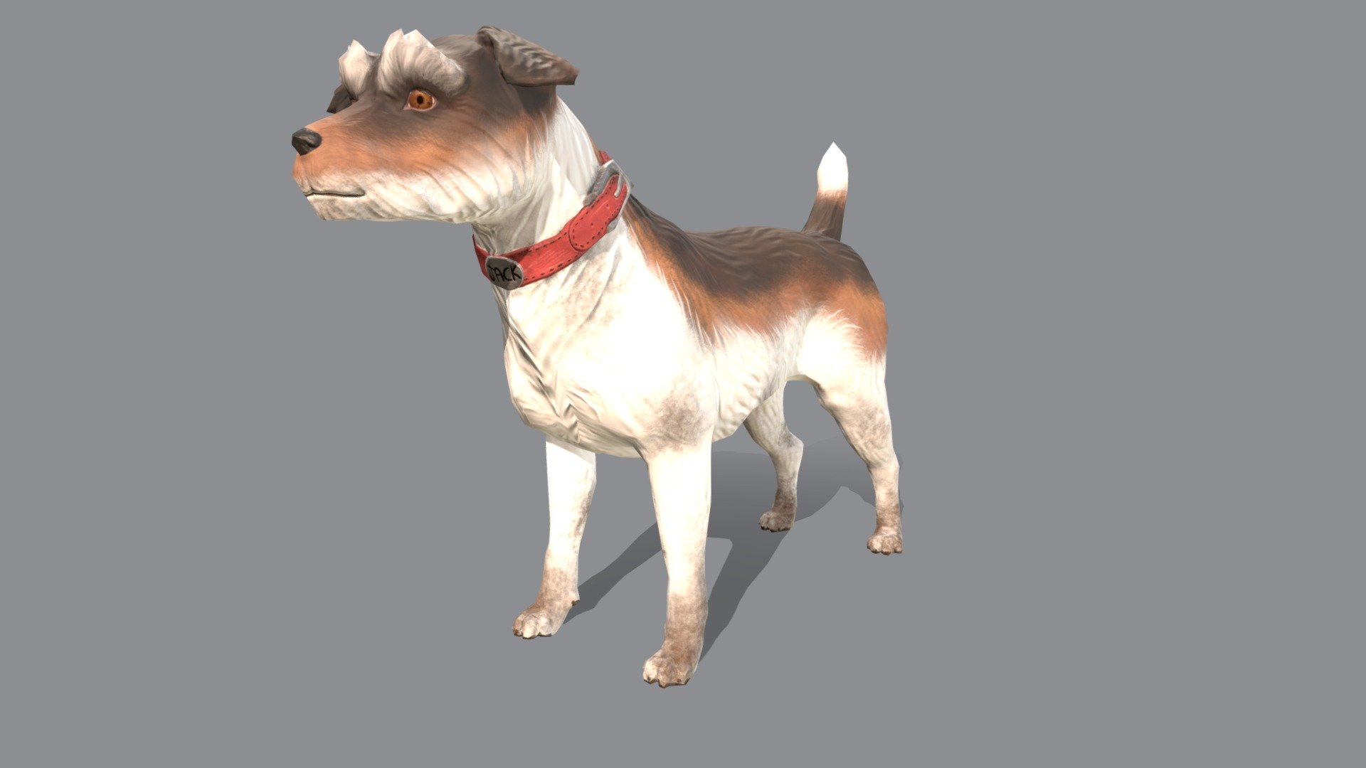 Jack was made for a game jam! 
He was rigged by my sister and she also helped me make a very quick idle animation for him, for a model made in a few days I'd say he is alright - Jack the Jack Russel - 3D model by abimerrell 3d model