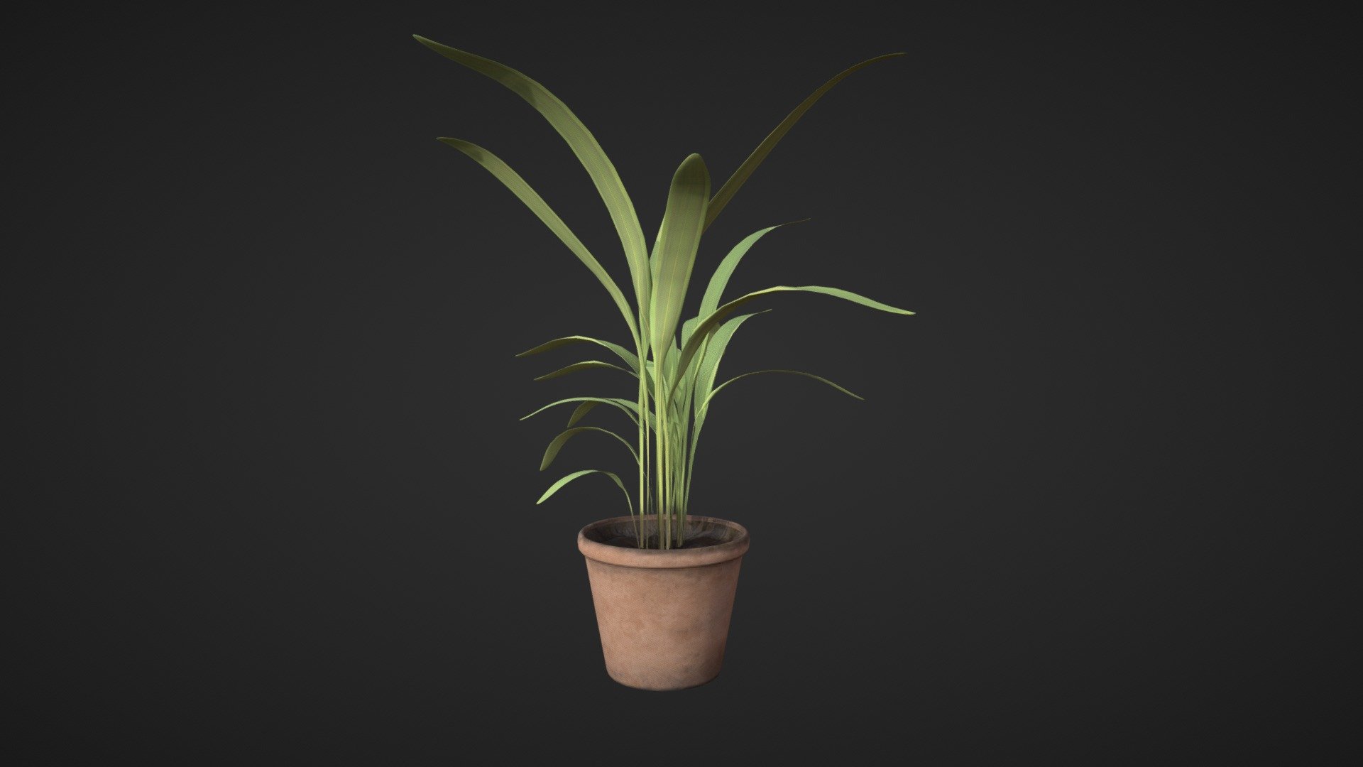 a little plant for decoration and stuff. its not perfect but i made it with love 

xoxo

SomeKevin

have a nice day, i love you - Palm Plant - Download Free 3D model by SomeKevin 3d model