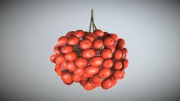 Rowan Berries Low-Poly