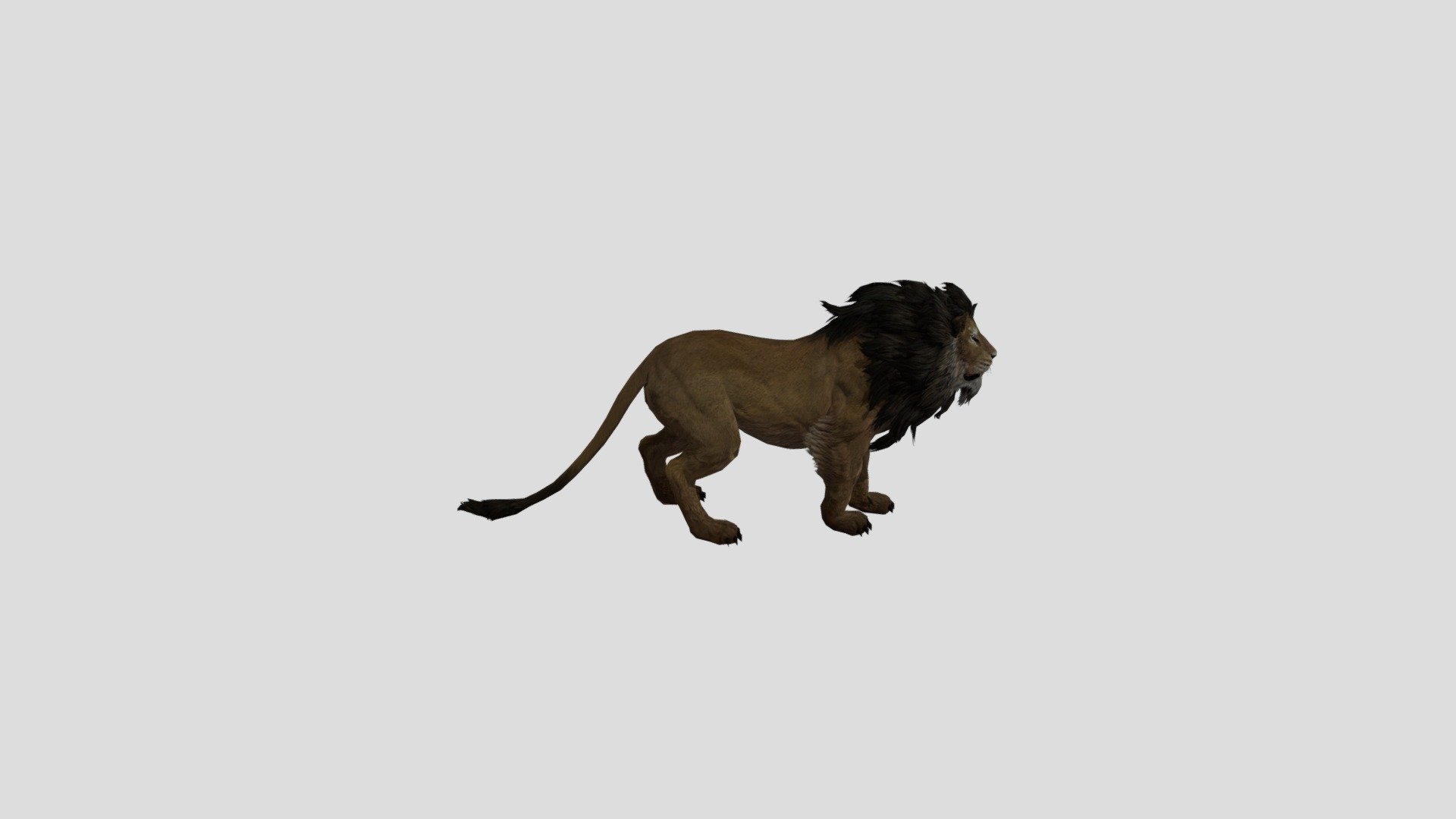 Lion - Lion - Download Free 3D model by LostBoyz2078 (@LostModels2025) 3d model