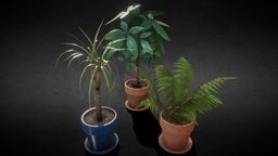 [Set] Indoor plants with flower pots