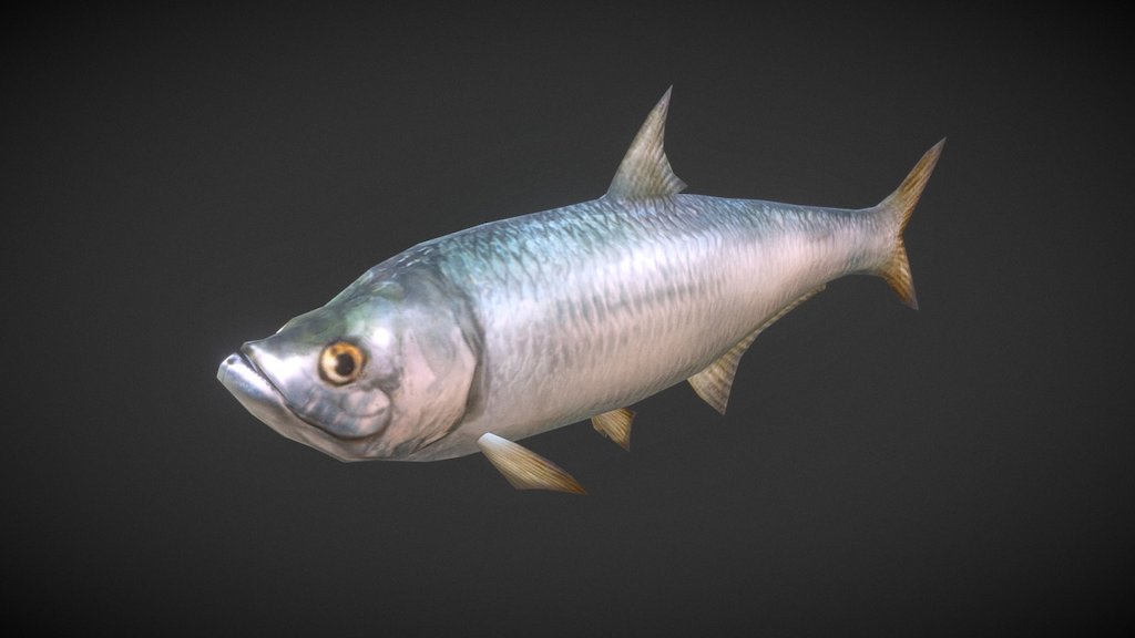 Tarpon - 3D model by YOURS (@double2) 3d model