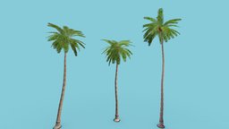 Palm Tree Pack LOWPOLY tree, plant, wind, forest, plants, palm, bark, coconut, losangeles, scan, noai