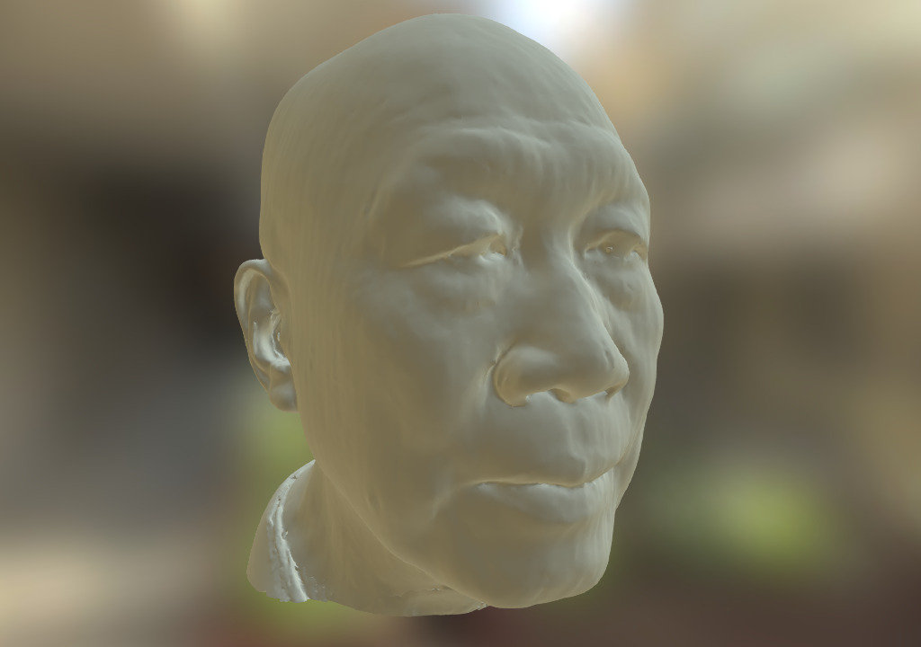 The head of Howard Choy. Scanned with a David SLS-2 - Howard Choy - Download Free 3D model by oriface 3d model
