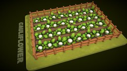 Cauliflower Farm green, food, augmentedreality, vegetation, virtualreality, farm, farmer, farming, vegetable, cauliflower, superlowpoly, 3d, lowpoly