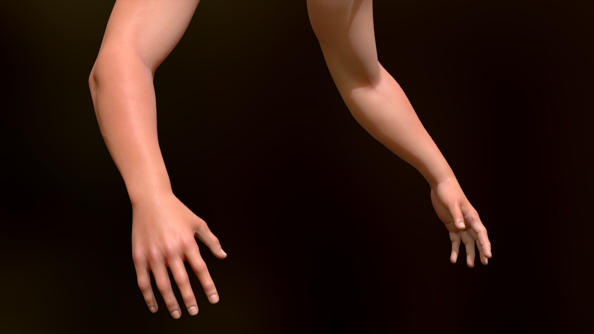 Gameready First Person Hands intended to hold up in close-up shots. If you are developing a First Person game and are struggling with sculpting organic models, then this model is intended for you.

• Model is midpoly (11000 verts) and has highly detailed anatomy features. This model is made on purpose to have a higher polygon count but still be realtime.

• Model is hand-sculpted from reference images.

• Uniform Unwrap with no overlapping.

• 4096x4096 textures.

• Tested in Unreal Engine. But should work fine with Unity or even VFX workflows.

• Topology intended for animation and ability to do a high range of motion, such as spreading the fingers or making a fist.

• Topology can be subdivided and is made with zero triangles, all quads.

• Model is not rigged 

Model is intended for sale but not yet available, feel free to contact me for freelancing opportunities trough email &ldquo;odrcic.matija