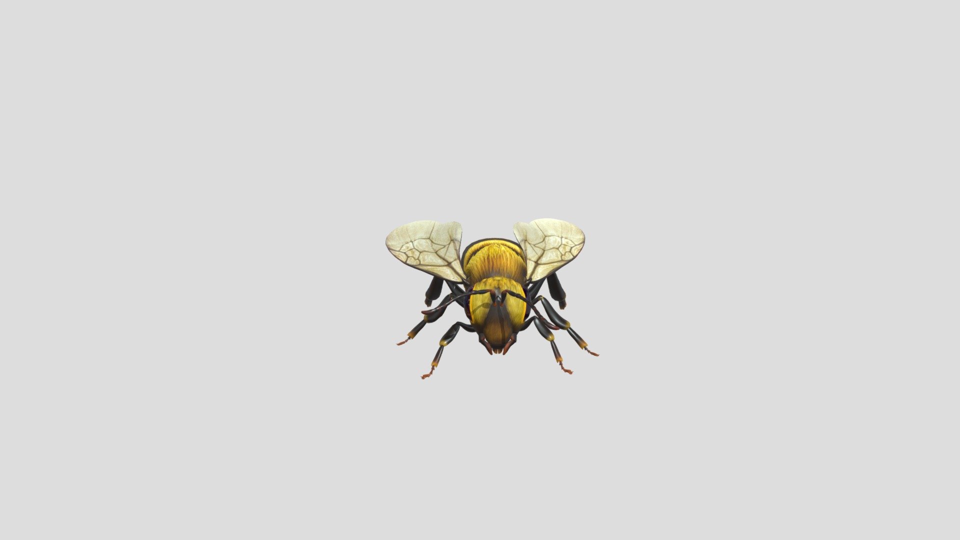Just a bee
Hope ya like it 3d model