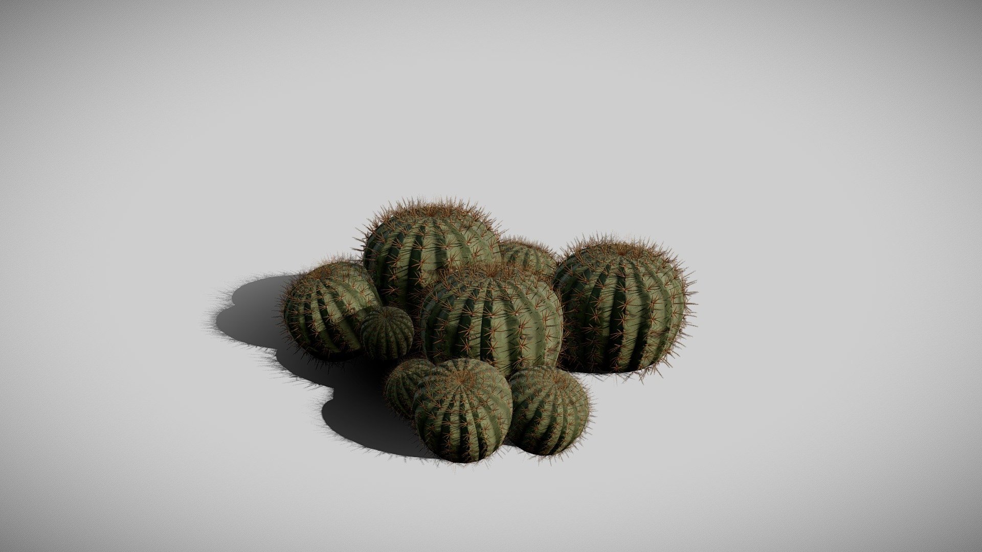 Details:

fbx files

Low Poly Model

LODs (Game Ready)

3 Variations

4K textures

Spine Color Variation

LODs Sample: https://sketchfab.com/3d-models/cactus-lods-sample-47f7251a654244fcbc0ea01e152406e7 

Contact me for any issue or questions https://www.artstation.com/bpaul/profile - Biznaga (Cactus) - Buy Royalty Free 3D model by Paul (@nathan.d1563) 3d model