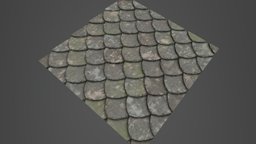 Mossy Roof Tile