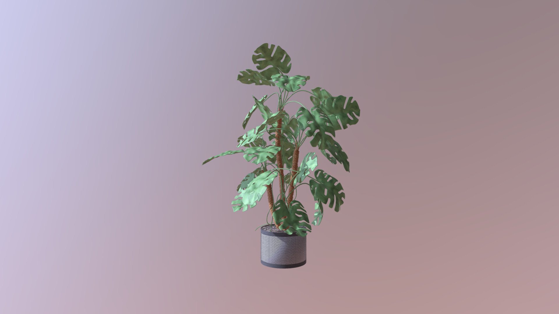 House Plant.
Mano De Leon Monstera is a quite beautful plant that has large leaves, leaves with light reflective property, glossy and awesome. 3D models can sometimes take to another world, or perhaps almost replace the real one.
A lovely plant that would be perfect to put in a room, kitchen , garden or many other places.
Suitable for gaming and 3D animations.
UV unwrapped, simple yet organized textures
Enjoy! - House plant - Download Free 3D model by Lahcen.el 3d model