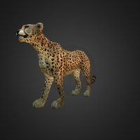 Cheetah Low Poly Game Animal 