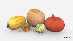 Pumpkin, squash and gourds collection 3dscanner, walnut, field, plants, photorealistic, 3dscans, ar, 3dscanning, 3dscanned, nature, vegetable, vegetables, hokkaido, autumn, grocery, kurbis, botspot, halloween-pumpkin, realitycapture, photogrammetry, 3dscan, halloween, yellow-squash, botspot3d, rawmodel, delicata-squash, halloween-decor, fall-season, autumn-vibes, orange-pumpkin, classic-pumpkin, hokkaidopumpkin, squash-pumpkin, pumpkin-types, autumn-composition, autumn-vegetables