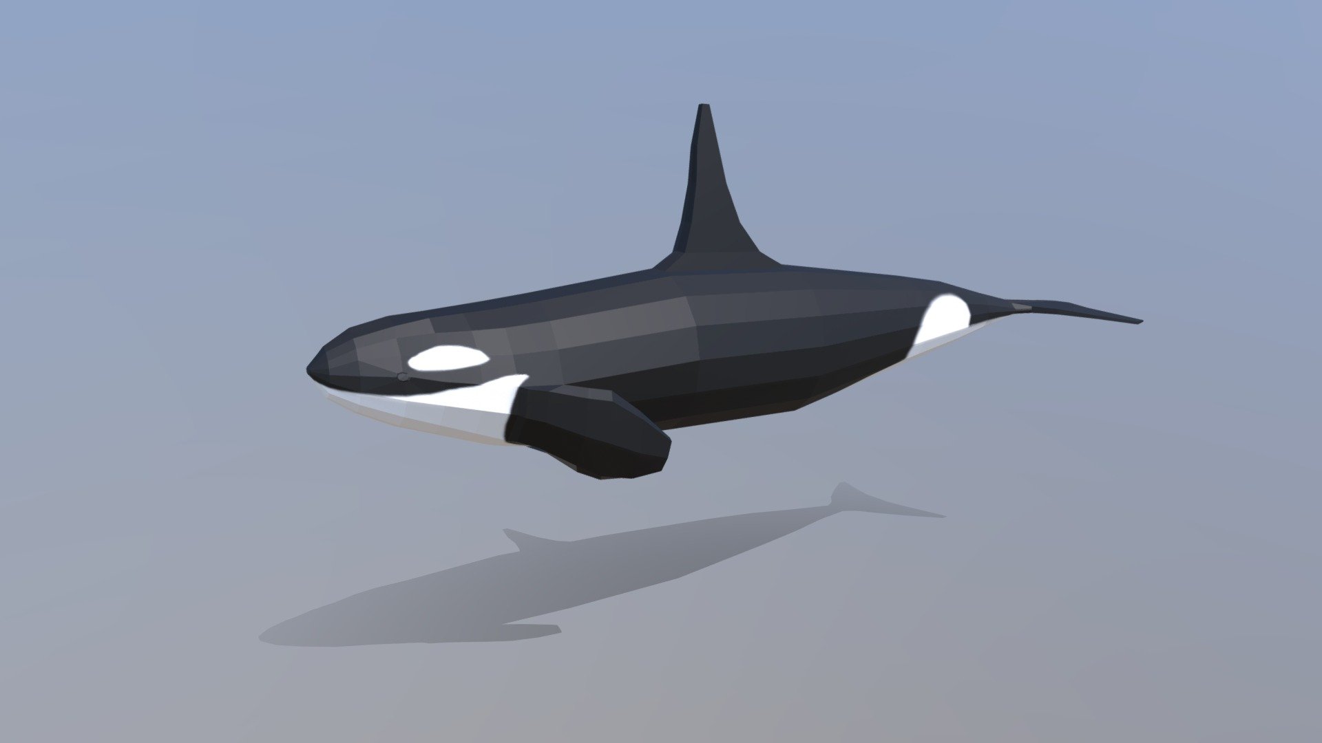 This is a low poly 3d model of an orca. The low poly orca was modeled and prepared for low-poly style renderings, background, general CG visualization presented as a mesh with quads only.

Verts : 576 Faces: 574

Hand painted texture is included, UV unwrap and mapping is available

The original file was created in blender. You will receive a 3DS, OBJ, FBX, blend, DAE, STL.

Warning: Depending on which software package you are using, the exchange formats (.obj, .3ds, .dae .fbx) may not match the preview images exactly. Due to the nature of these formats, there may be some textures that have to be loaded by hand and possibly triangulated geometry.

All preview images were rendered with Blender Cycles. Product is ready to render out-of-the-box. Please note that the lights, cameras, and background is only included in the .blend file. The model is clean and alone in the other provided files, centered at origin and has real-world scale 3d model