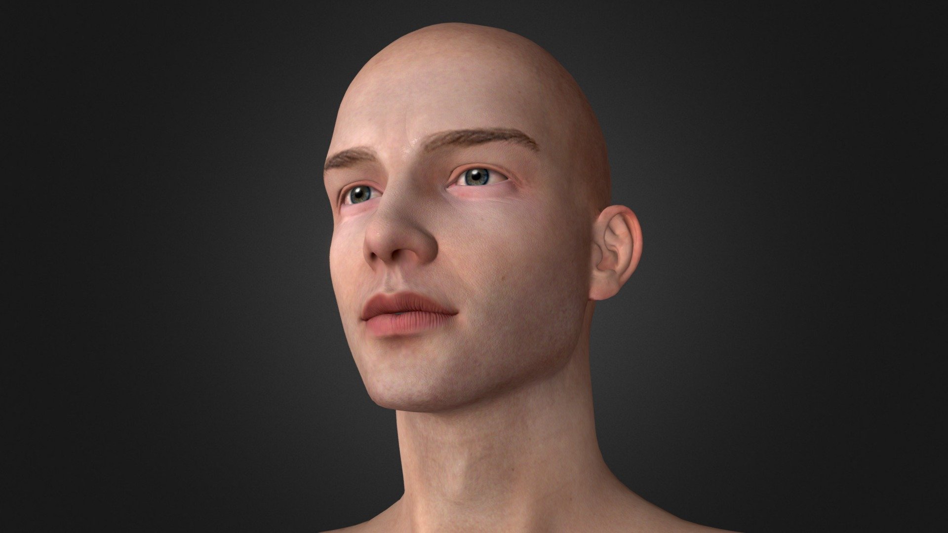 Face - Download Free 3D model by 2on 3d model