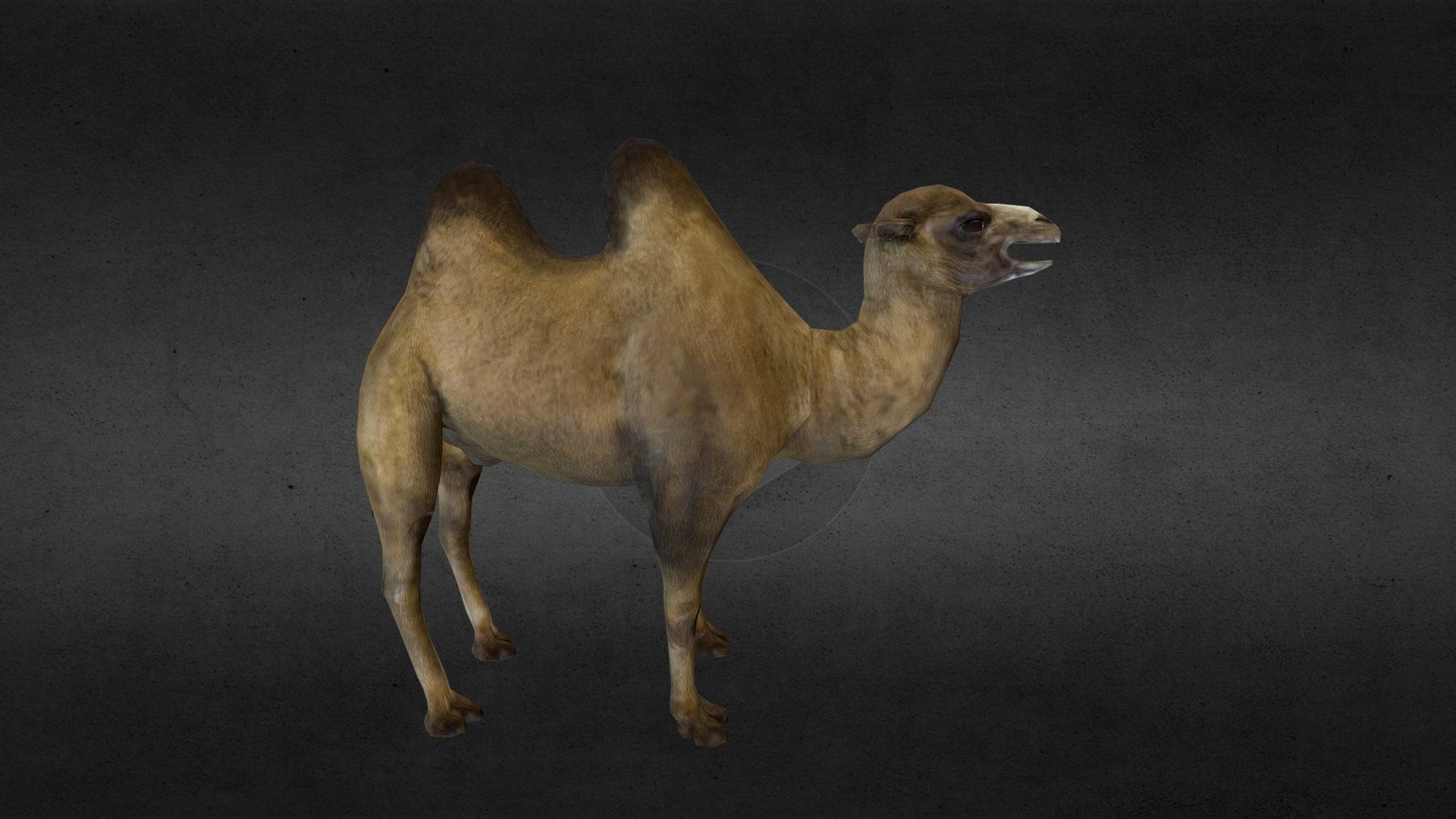 character for game - Camel - Buy Royalty Free 3D model by BlackantMaster 3d model